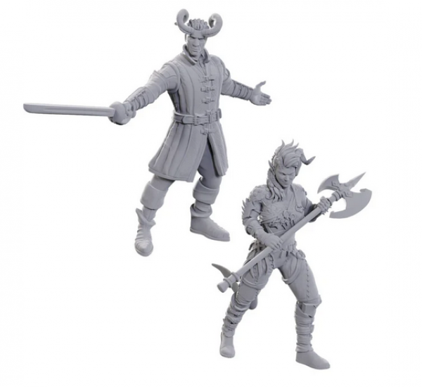 D&D Nolzurs Marvelous Minis: Special Edition Baldurs Gate 3- Wyll & Karlach