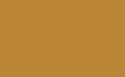 Game Color: Gold Brown